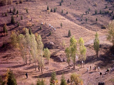 PHOT0136.JPG