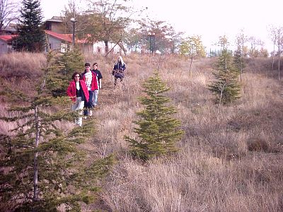 PHOT0039.JPG