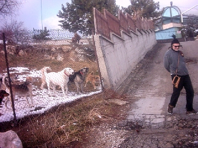 PHOT0086.JPG