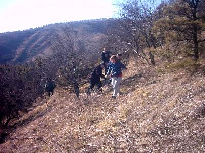 aPHOT0016.JPG