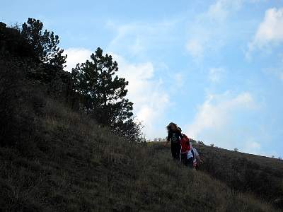 IMG_0016.JPG