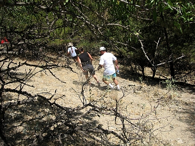 IMG_0065.JPG