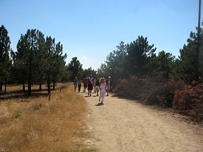 IMG_0014.JPG