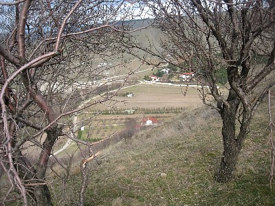 IMG_0047.JPG