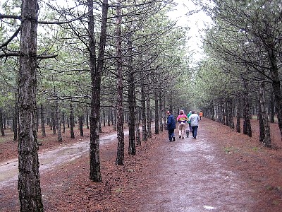 1336n12.jpg