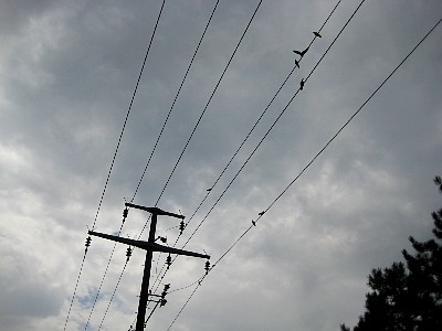 IMG_0038.JPG