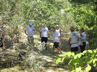 IMG_1129.JPG
