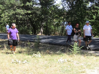 IMG_1133.JPG