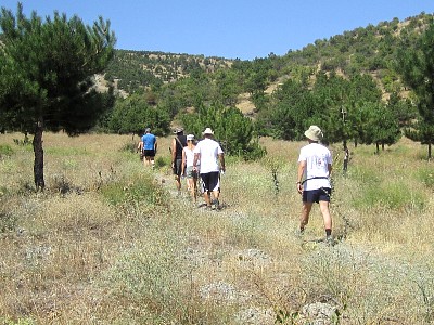IMG_1134.JPG