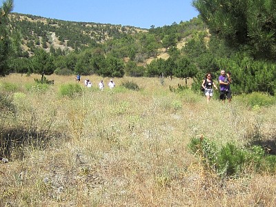 IMG_1136.JPG