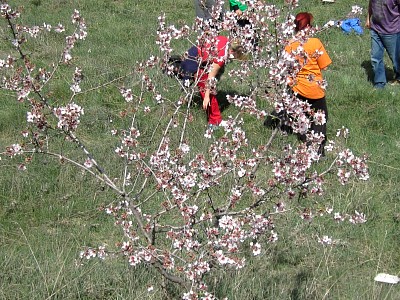 IMG_2363.JPG