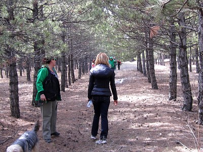 IMG_0713.JPG