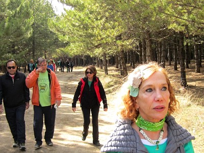 IMG_0739.JPG