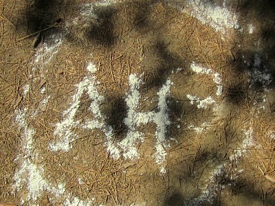 IMG_1342.JPG