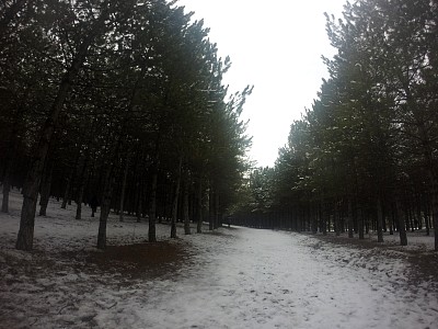 161213.JPG