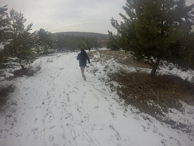 161214.JPG
