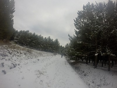 161219.JPG