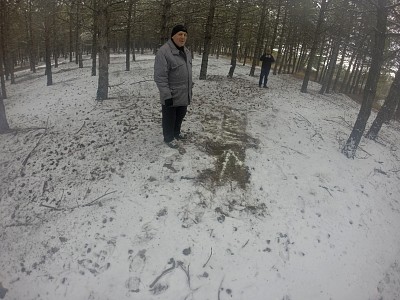 161221.JPG