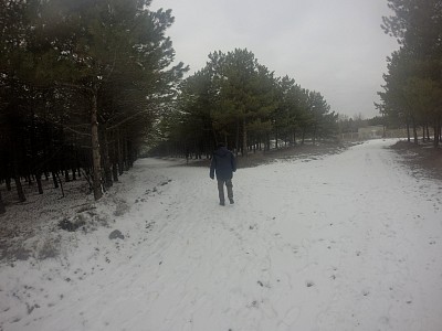 16122.JPG