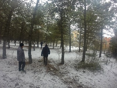 16125.JPG