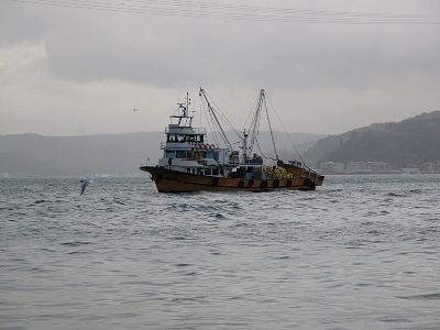 IMG_3636.jpg